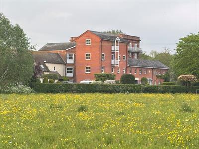 Picture 14